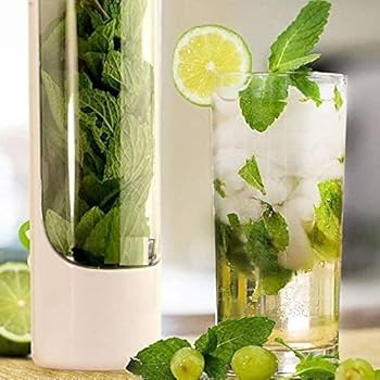 Conservateur d'herbes, récipient de stockage d'herbes