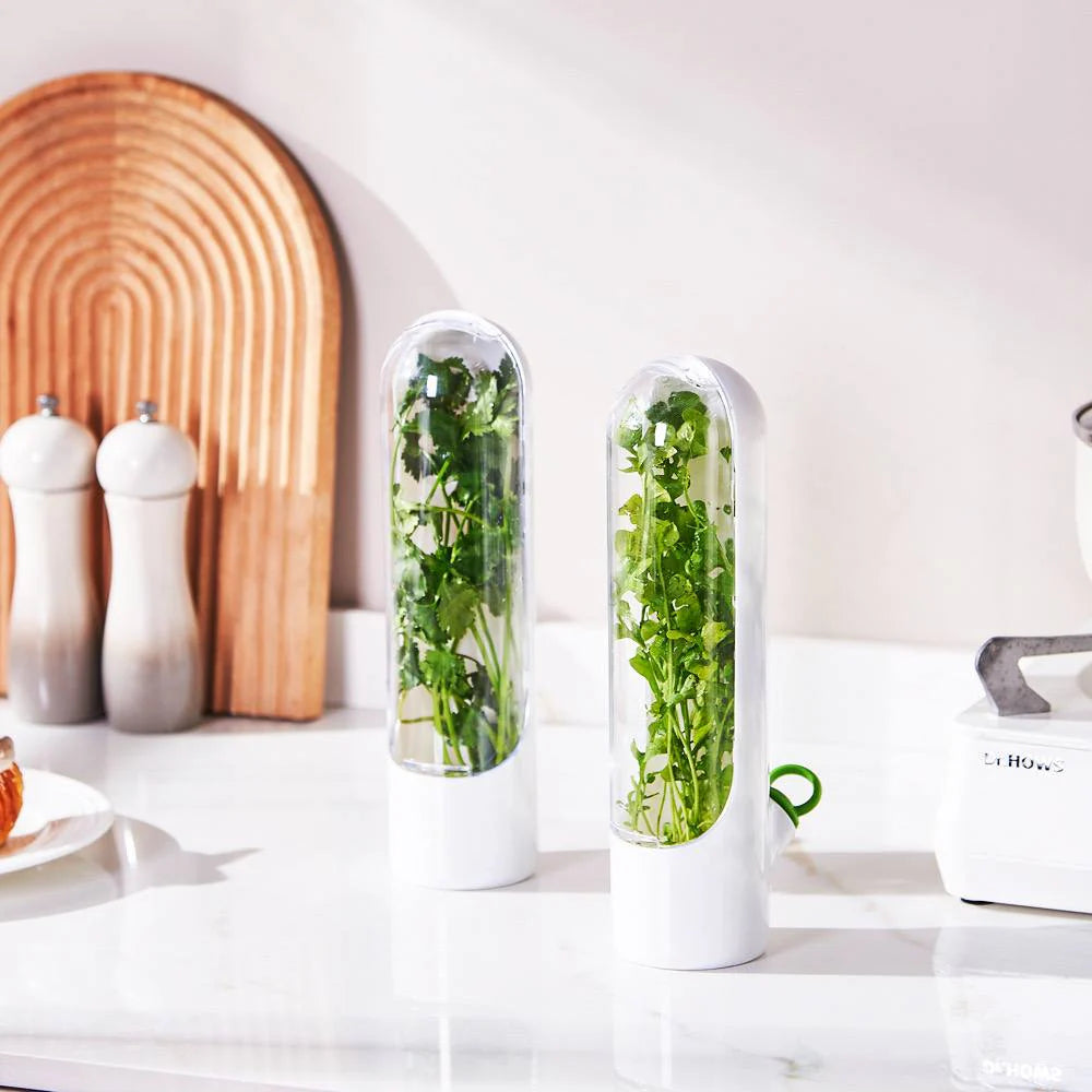 Conservateur d'herbes, récipient de stockage d'herbes